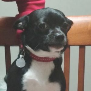 Meet your Posher, Mari